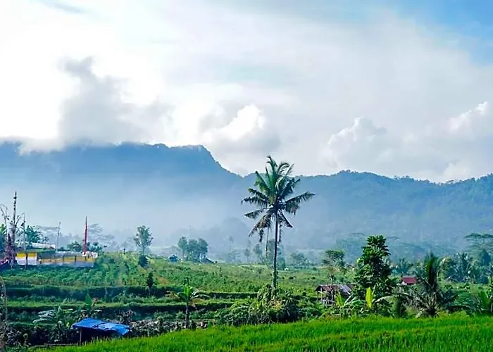 Ume Dukuh Sidemen Wisma Kerta